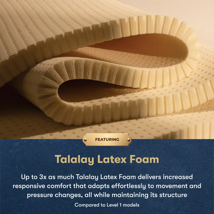 A close-up of a rolled beige latex foam sheet with a textured honeycomb surface, shown above a dark blue text panel that reads 'Featuring Talalay Latex Foam' with descriptive copy.