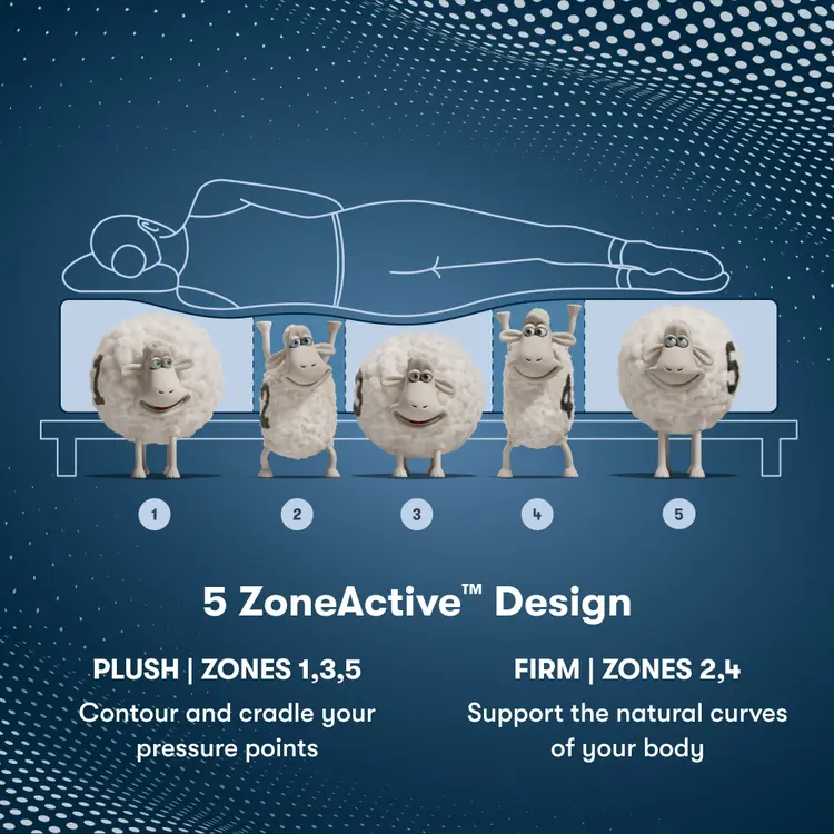 Perfect Sleeper Pro Geneva Firm Mattress Component 5 Zone chart || Level: Level 2 || Feel: Firm