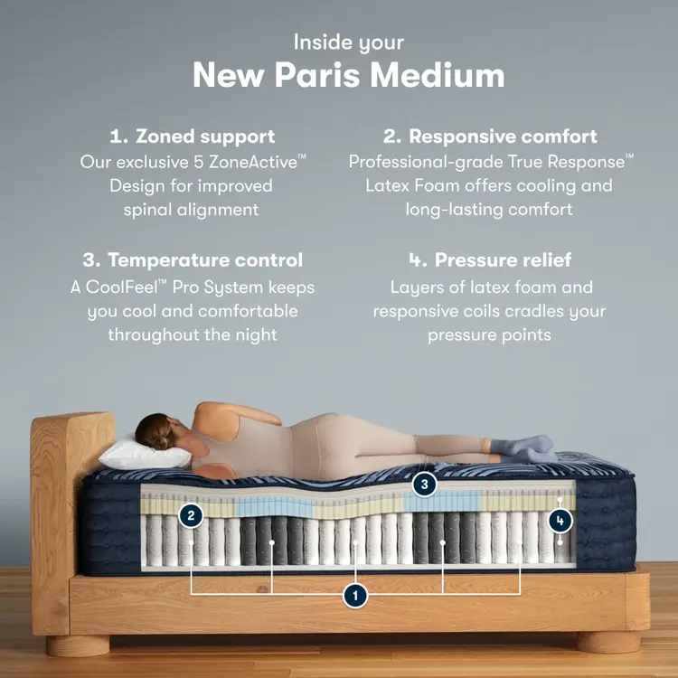 Inside the Perfect Sleeper Pro New Paris Medium chart || Level: Level 3 || Feel: Medium